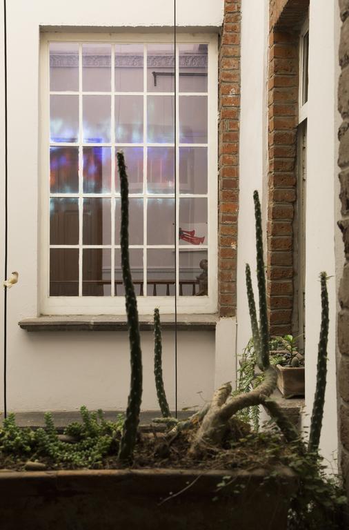 El Patio 77 B&B Mexiko-Stadt Exterior foto